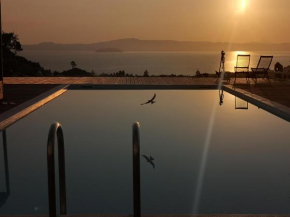 The Free Bird - Private Pool & Spa Villa